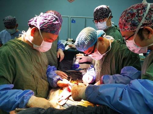 移植手术 第二季,第二季移植手术的挑战与突破