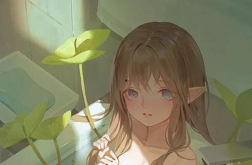 她的池中之物,揭秘池中之物的奇幻世界