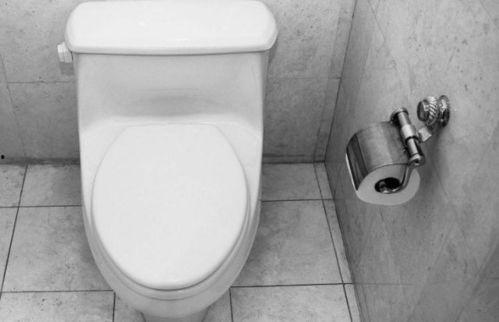 马桶神探,揭秘隐秘角落的神秘故事