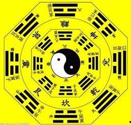 玄学小萌妻，一卦抵万金,一卦定乾坤，小萌妻助力财运亨通