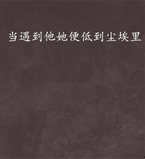 尘埃里遇见极光,尘埃与极光交织的奇幻邂逅