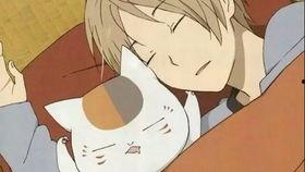 夏目友人帐2018（原声版）