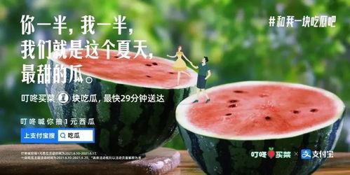 娱乐吃瓜报道文案短句,吃瓜群众热议的幕后故事